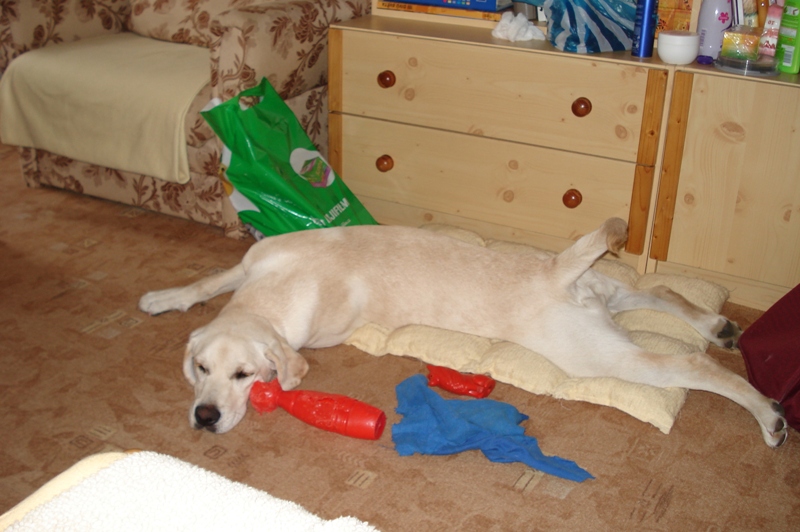 Sandy Koutská 1.JPG
